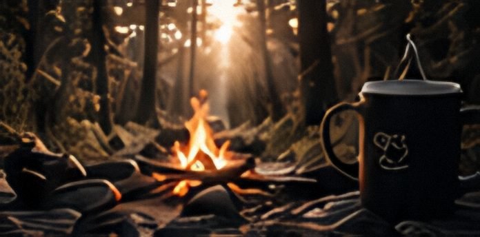 A campfire and a mug in a sunlit forest